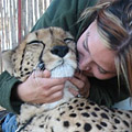 Connect-123 Internship & Volunteer Programs