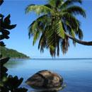 Volunteer Abroad in Seychelles with GVI