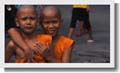 Twin Work & Volunteer